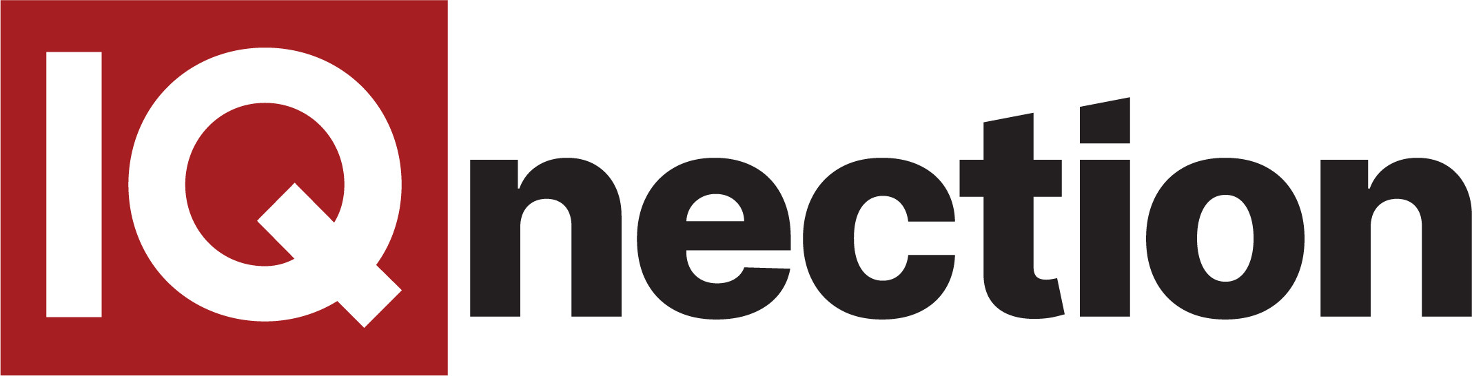 IQnection Web Design, Marketing & SEO logo