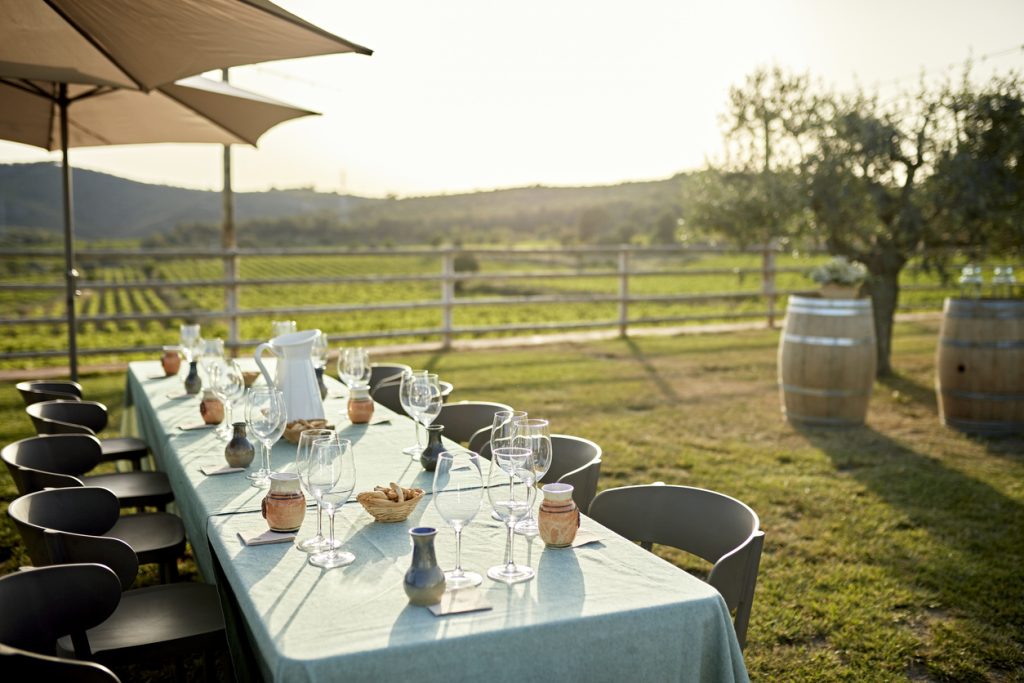 Winery Photography of the vineyard